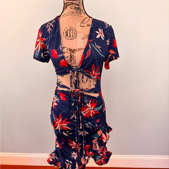 C Brand Blue Dress with Red and White Floral Design - Picture 2 of 5